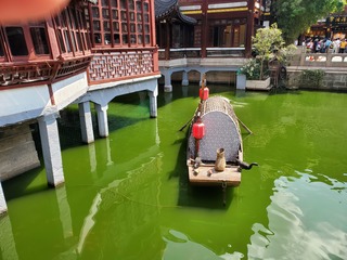 20190917_122841.jpg