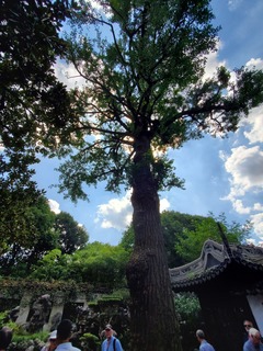 20190917_123853.jpg
