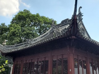 20190917_124527.jpg