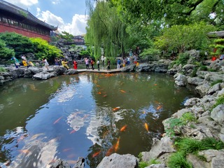 20190917_124728.jpg