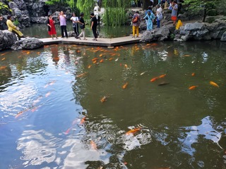 20190917_124736.jpg