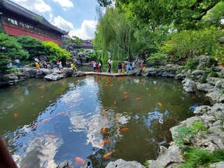 20190917_124739.jpg