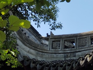 20190917_125129.jpg