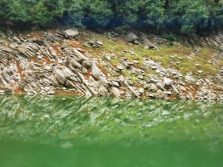 20190919_085028.jpg