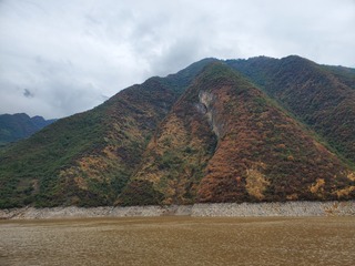 20190919_110557.jpg