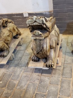 20190922_100558.jpg