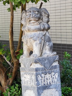 20190922_112453.jpg