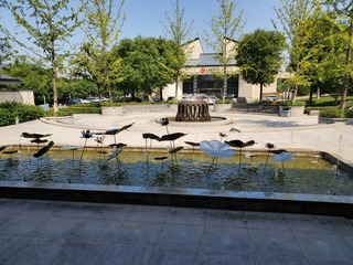 20190922_124711.jpg