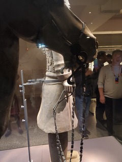 20190922_150348.jpg