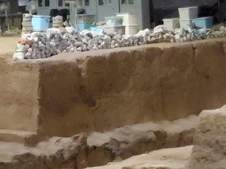 20190922_150813.jpg