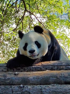 20190924_152510.jpg