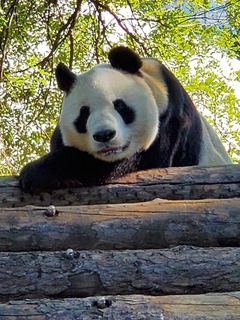 20190924_152513.jpg