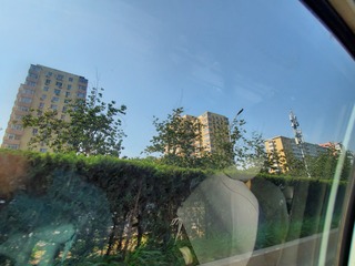 20190926_112847.jpg