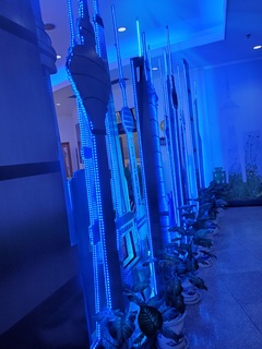 20190926_120910.jpg