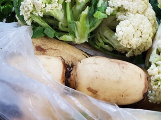 20190927_090412.jpg