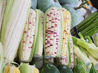 20190927_090450.jpg