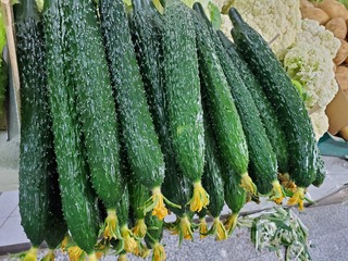 20190927_090822.jpg