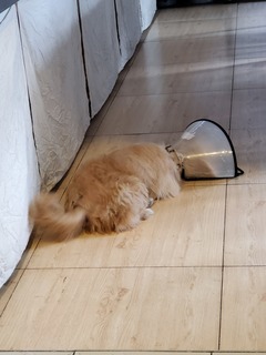20190927_102301.jpg