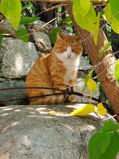 20190928_123711.jpg