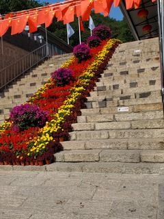 20190928_124522.jpg