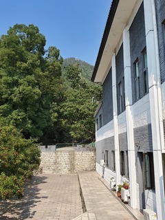 20190928_124825.jpg