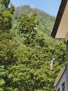 20190928_124828.jpg