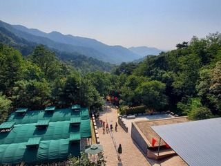20190928_124927.jpg