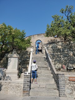 20190928_130015.jpg