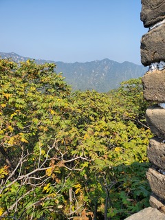 20190928_130152.jpg