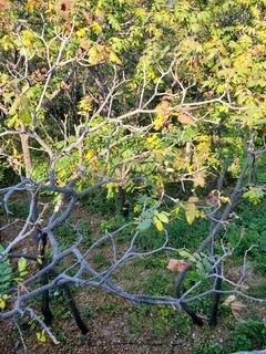 20190928_130155.jpg