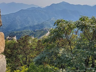 20190928_130301.jpg