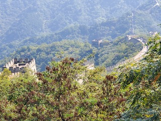 20190928_130306.jpg
