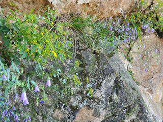20190928_134214.jpg