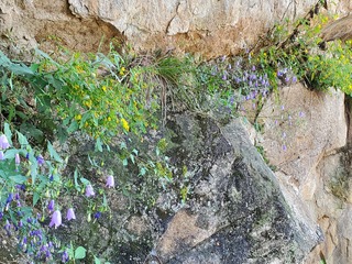 20190928_134227.jpg