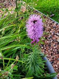 20191002_100334.jpg