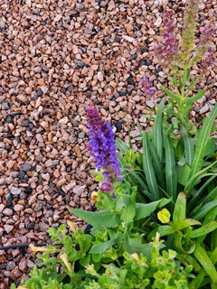 20191002_100341.jpg