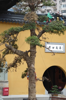 P1070741.JPG