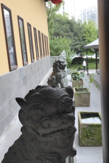 P1070787.JPG