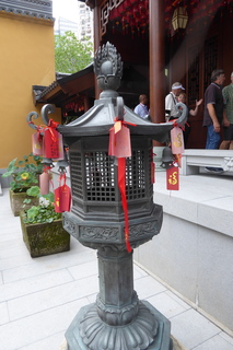 P1070788.JPG
