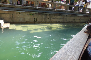 P1070843.JPG