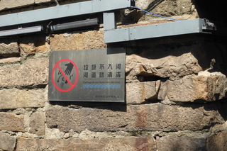 P1070844.JPG