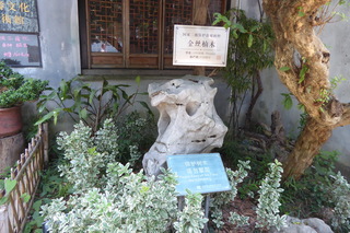P1070857.JPG