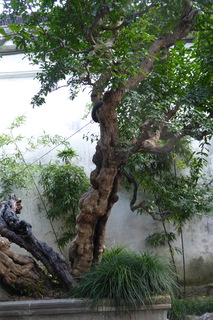 P1070937.JPG