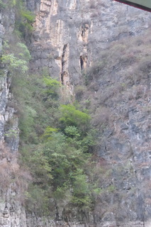 P1080009.JPG