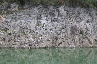 P1080029.JPG