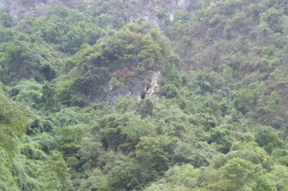P1080031.JPG