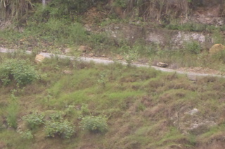 P1080035.JPG
