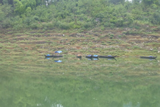 P1080042.JPG