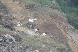 P1080054.JPG