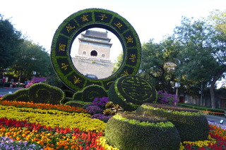 P1080327.JPG
